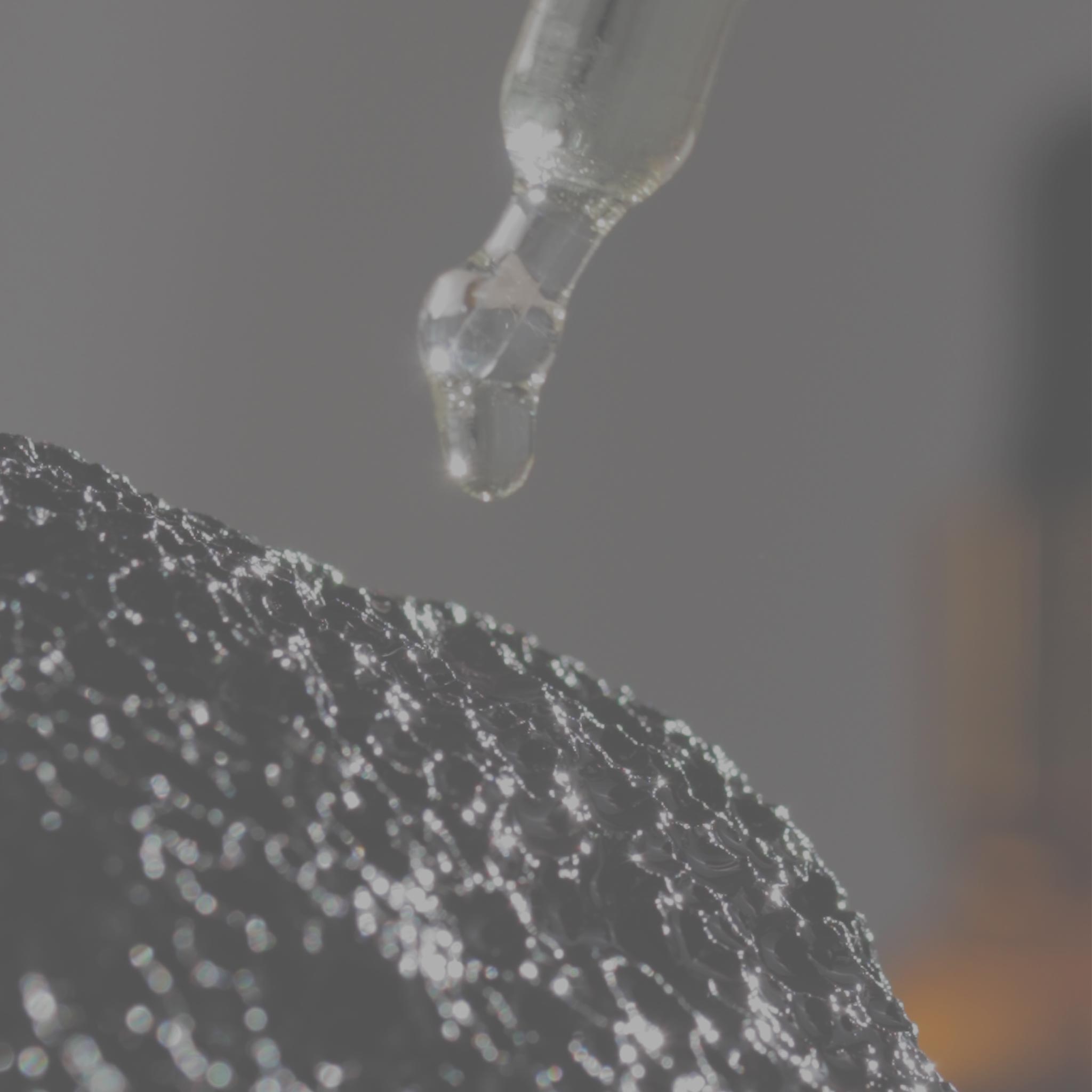 Calm Forest Æterisk Aroma Olie