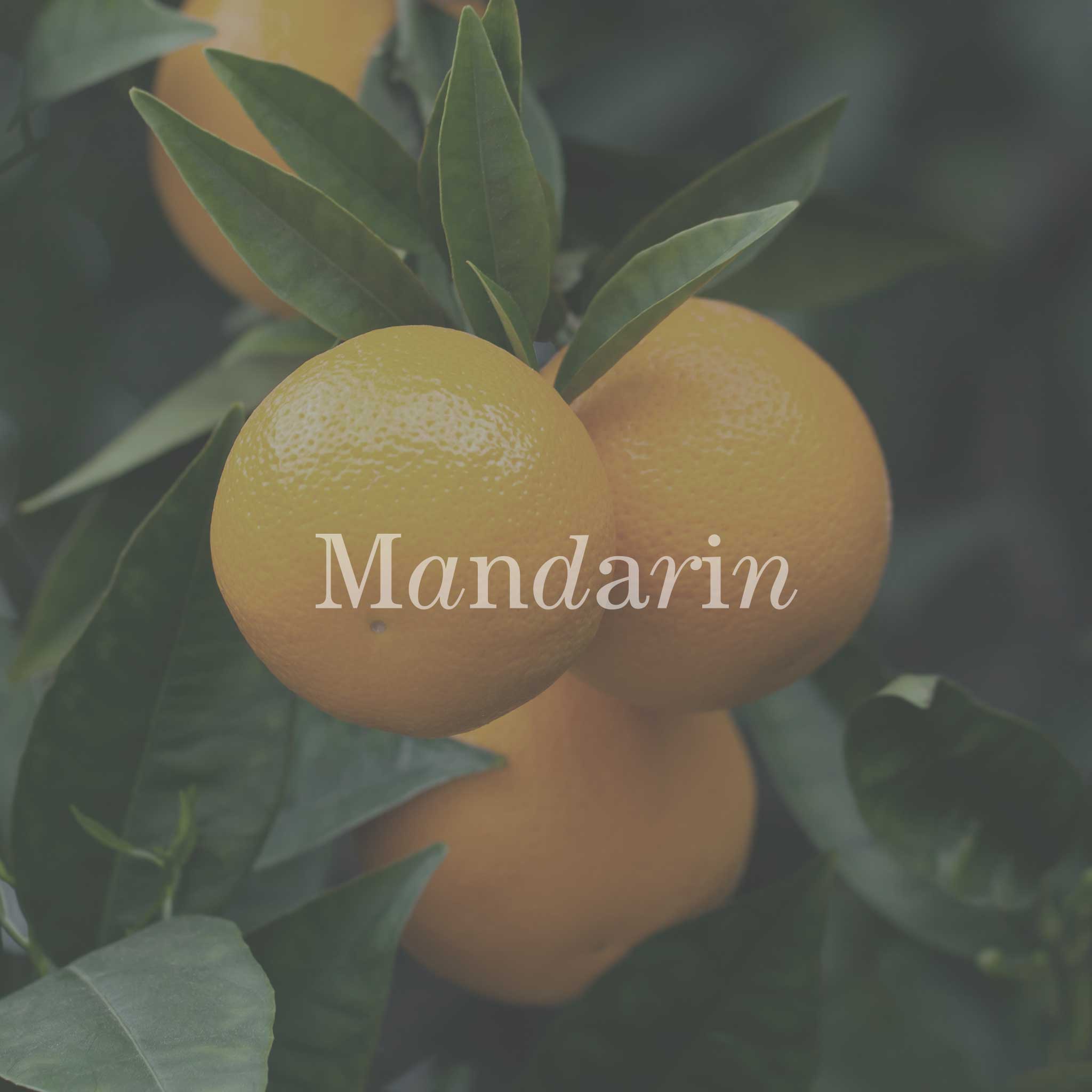 No17 Therapy 10ml Naturlig Aroma Parfume Quiet Sunset Mandarin Ylang Ylang Rosentrae Glas Flaske 3