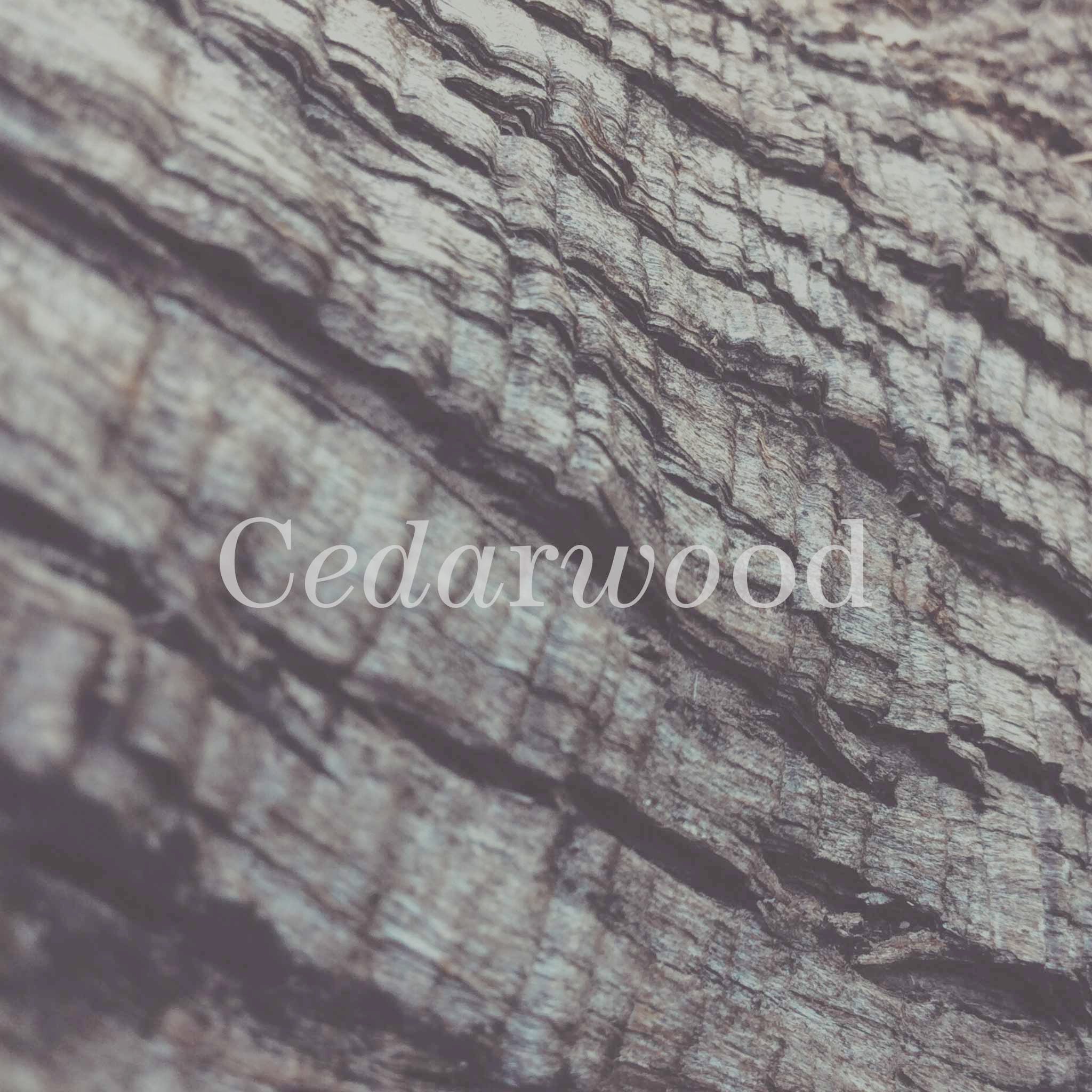 No17 Therapy 10ml Naturlig Aroma Parfume Warm Meadow Ambra Ylang Ylang Glas Flaske 2