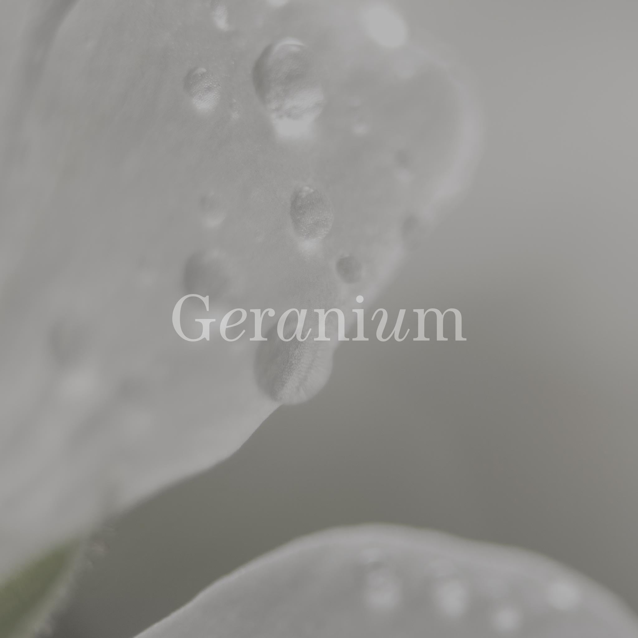 No17 Therapy Hand Krop Saebe Calm Forest Eucalyptus Geranium Glas Flaske2.jpg
