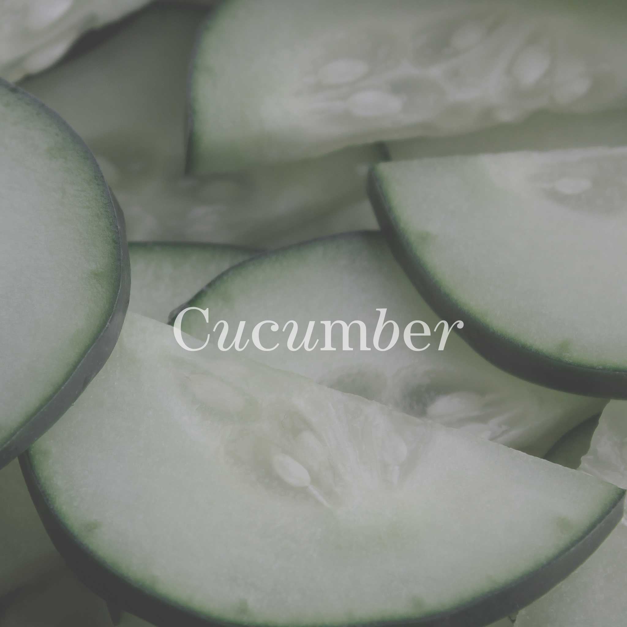 No17 Therapy Body Olie Silent Sea Økologisk kropsolie Agurk & Mynte