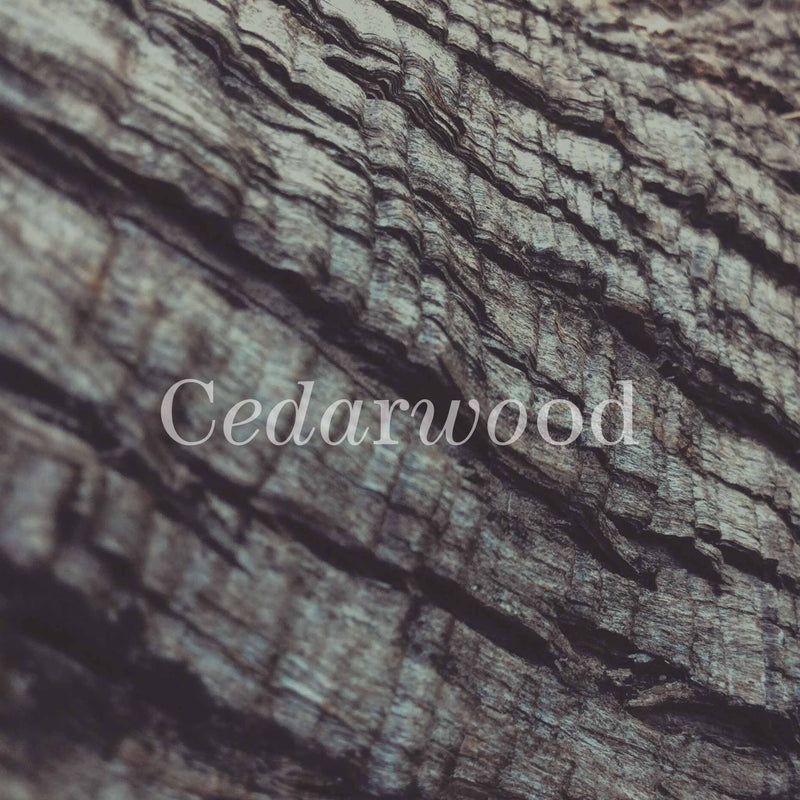 Warm Meadow Organic Body Oil & Perfume