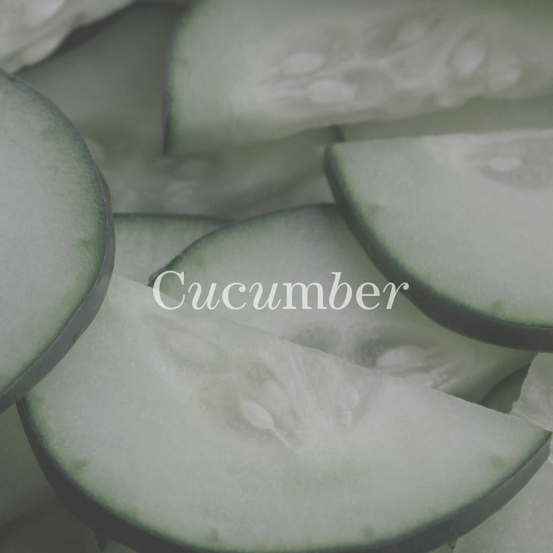 No17 Therapy Body Olie Silent Sea Økologisk kropsolie Agurk & Mynte